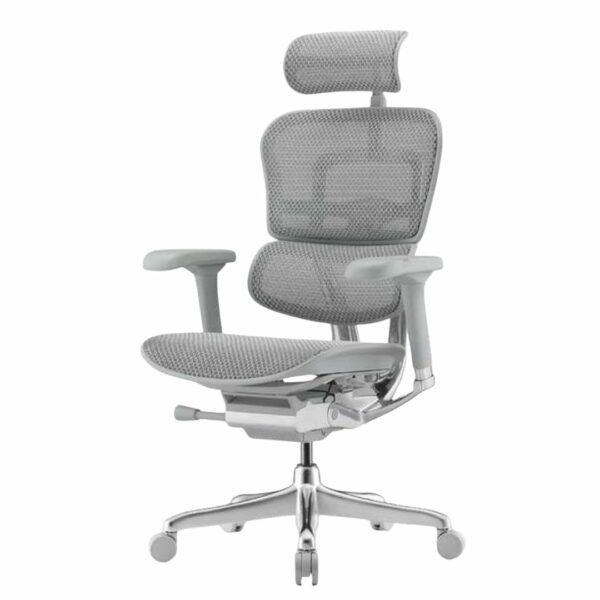 AeroMesh Elite Ergonomic Office Chair – Grey Edition